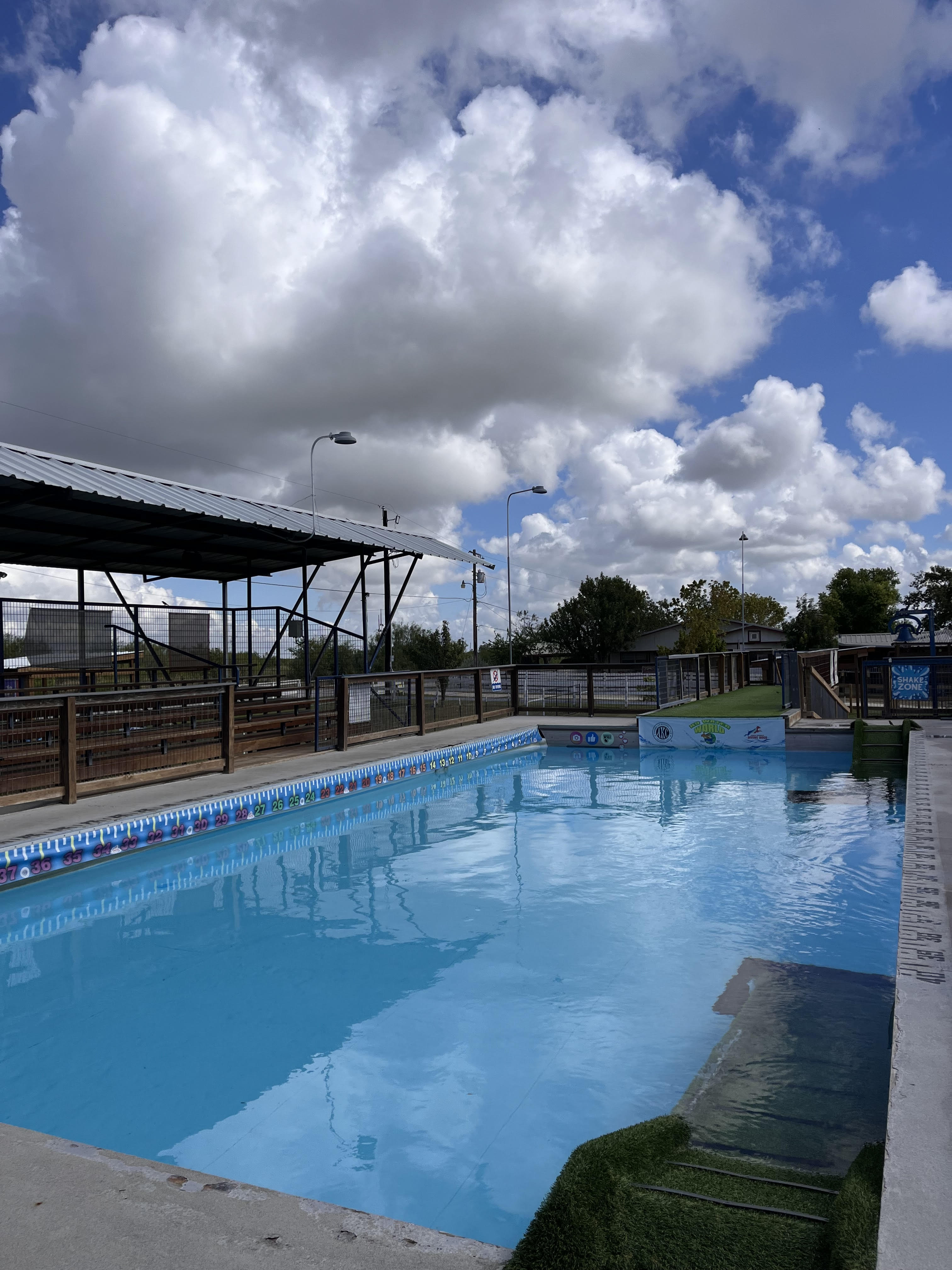 Dock Diving Pool at K9 Water World